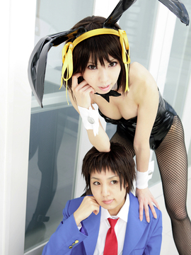 [Sparkle] Lupinas Yellow_014