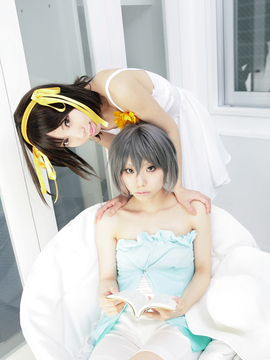 [Sparkle] Lupinas Yellow_054