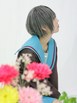 [Sparkle] Lupinas Yellow_102
