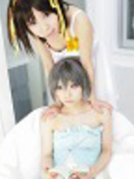 [Sparkle] Lupinas Yellow_294