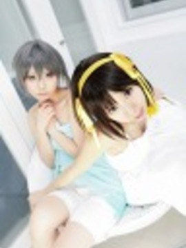 [Sparkle] Lupinas Yellow_296