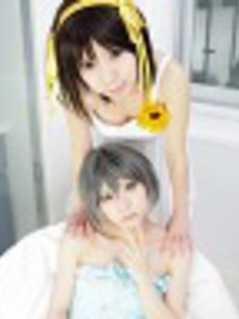 [Sparkle] Lupinas Yellow_299