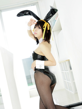 [Sparkle] Lupinas Yellow_312