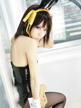 [Sparkle] Lupinas Yellow_323