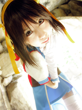 [Sparkle] Lupinas Yellow_396
