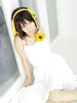 [Sparkle] Lupinas Yellow_417