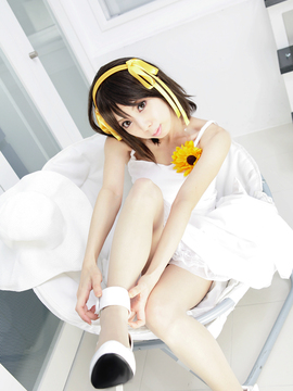 [Sparkle] Lupinas Yellow_431