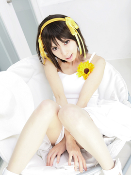 [Sparkle] Lupinas Yellow_434