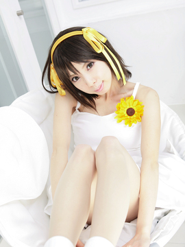 [Sparkle] Lupinas Yellow_436