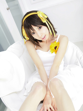 [Sparkle] Lupinas Yellow_437