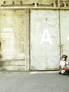 [Sparkle] Lupinas Yellow_477