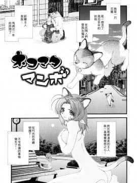 [淺草寺] 粉紅色絲帶_HoS_097