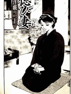 [ふじいあきこ、秋山道夫] 人妻模様3 乱れ妻_093
