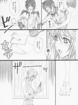 [M (天野雨乃)] (C68) GseedM (機動戦士ガンダムSEED DESTINY)_06