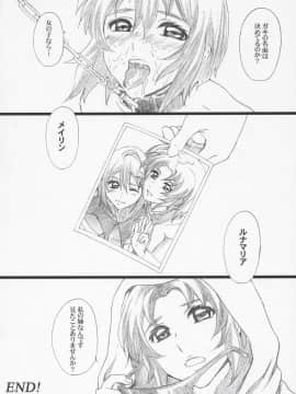 [M (天野雨乃)] (C68) GseedM (機動戦士ガンダムSEED DESTINY)_31