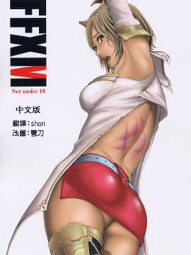 [M (天野雨乃)] (C70) FFXM (ファイナルファンタジーXII) [中]