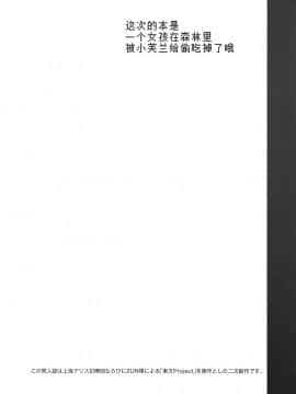 [一匙咖啡豆汉化组圣诞献礼] (例大祭13) [酢醤油&Co. (酢醤油氏)] ある日森の中 フランちゃんに出会った。 (東方Project)_IMG_0002