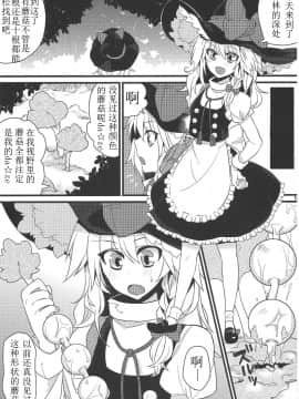 [Benny个人汉化] (C81) [成宮 (鳴海也)] たまタマしっぽ (東方Project)_14
