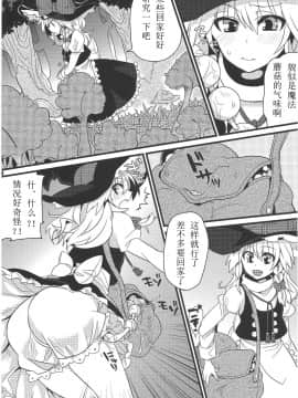 [Benny个人汉化] (C81) [成宮 (鳴海也)] たまタマしっぽ (東方Project)_15
