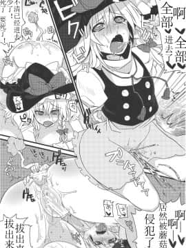 [Benny个人汉化] (C81) [成宮 (鳴海也)] たまタマしっぽ (東方Project)_20