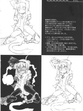 [Benny个人汉化] (C81) [成宮 (鳴海也)] たまタマしっぽ (東方Project)_43