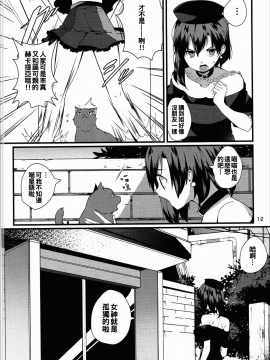 [oo君個人漢化](C90) [てつのおとしご (チロリアン)] 赤い本。 (東方Project)_011