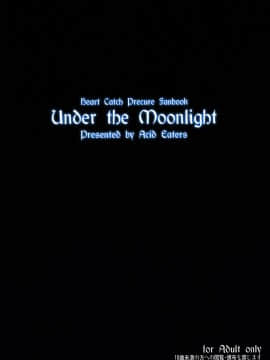 [ACID EATERS (和馬村政)] (C79) Under the Moonlight (ハートキャッチプリキュア!)_26