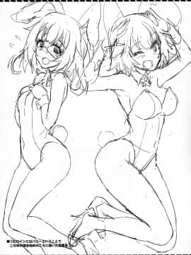 (C84) [フカヒレ (さめ)] IS ICHIKA LOVE SISTERS!! (IS＜インフィニット・ストラトス＞)_24