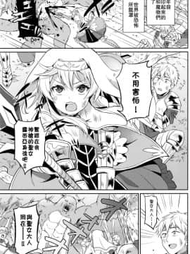 (コミティア121) [うさみみしんどろーむ (えるたすく)] 俺たちの聖女様が男の子なわけないだろ! [中国翻訳]_03