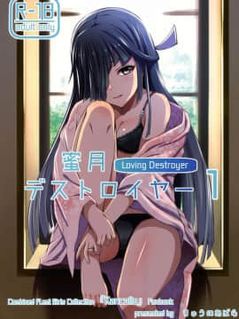 (C92) [りゅうのあばら (ぼんど)] 蜜月デストロイヤー1 (艦隊これくしょん -艦これ-) [中国翻訳]_01