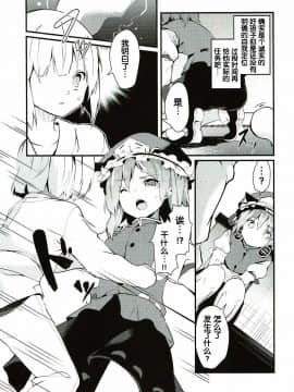 (紅楼夢13) [てつのおとしご (チロリアン)] 裁きと渇き (東方Project) [中国翻訳]_05