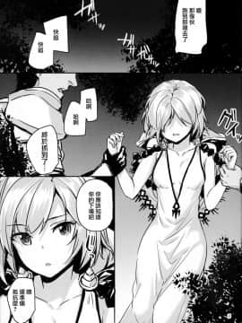 (C90) [furuike (スミヤ)] 団長のセックスフレンド (グランブルーファンタジー) [中国翻訳]_05