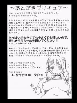 [真・聖堂☆本舗 (聖☆司)] きららちゃんのマネージャーになった。 (Go!プリンセスプリキュア) (CSP6) [CureSayake個人漢化]_24