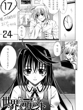 [如月響子汉化组][ラピスラズリ] DUAL GIRLS_047