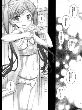 [兴趣使然汉化团] (コミティア116) [カウンタック (古事記王子)] もっと仔猫ちゃんと遊びたい_025