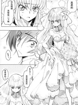 (C93) [CREAYUS (嵐月)]White Noise(反叛的鲁路修)_004