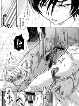 (C93) [CREAYUS (嵐月)]White Noise(反叛的鲁路修)_018