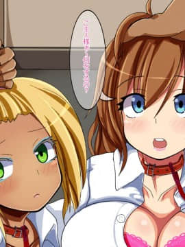 [あんねーすーぷれっくす][イジメっ娘ギャルと中出し孕ませ学園性活!]_180a