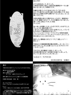 [辻斬りクロスチョップ (半澤821)] 東方の五大老がパンパンパコパコするだけの本 (東方Project) [DL版]_0016