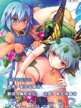 [迷途竹林漢化](C93) [あばらんち (チマQ)] 夏しちゃってる (東方Project)