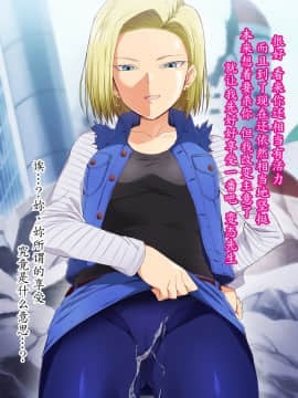 [HELLTER SKELTER (kaiga)] 転生したら18号のおもちゃにされた件_11