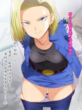 [HELLTER SKELTER (kaiga)] 転生したら18号のおもちゃにされた件_13