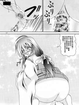 [臭鼬娘漢化組] (C78) [給食泥棒 (叢雲)] For the time being 9_SGTG_058_017