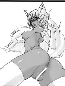 【咪咪q个人汉化】(サンクリ39) [端末異常 (BadHanD)] 玄狐ノ檻_025