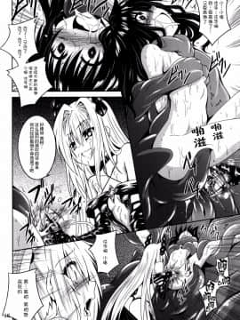 (C87) [夜の勉強会 (ふみひろ)] trance II (ToLOVEる ダークネス) [无毒汉化组]_014