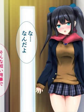 (同人CG集) [ディクシー (小幡こころ)] 俺の可愛い義妹は寝取られる_a5_6640