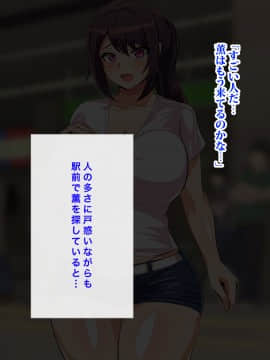 (同人CG集) [へっだらいなー] 都会の色に染まる彼女_194