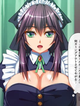 [雑用エリクサー][完全に合意のAV島！]_0011