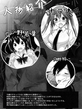 (C93) [ちょこれーとらんど (kakao)] 小悪魔せつこの秘密 vol.3 (オリジナル)_003