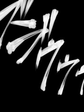 (同人CG集) [湾曲カンバス (はるさめ優希)] J○をバンで拉致って孕ませ集団レイプ_465_n6_13g
